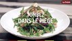 Tombez dans le Piège #90 : la salade de cabillaud et haricots verts