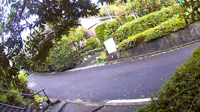 EDR September #9 2019Noise Harassment Occurred