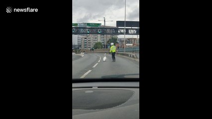 Hilarious moment swan stops traffic on London motorway