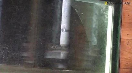 Real home Howsham Hall Mill