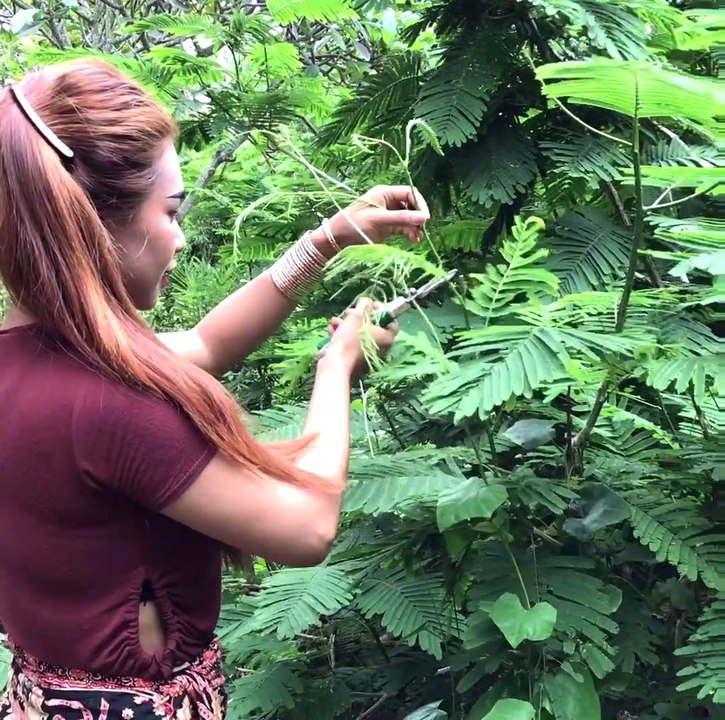 Cooking Egg with Climbing Wattle Recipe