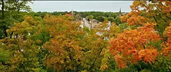 IT CAPÍTULO 2 -. La batalla final contra el mal.