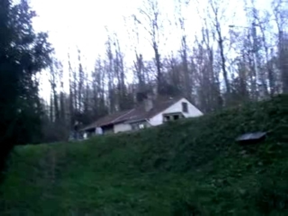 Petage de tête felix