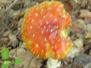 Excursie paddo 10-07