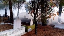 Elektrik tellerine çarpan kuşlar mezarlığı yaktı