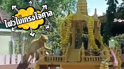 ตีกันในชั้นศาล.. พวกเอ็งไม่เกรงอกเกรงใจ จนท.ศาลกันเลยนะ