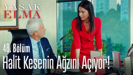 Halit, Şahika için hediye seçiyor! - Yasak Elma 48. Bölüm