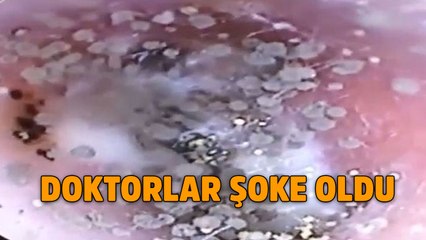 Neresi olduğunu öğrenince inanamayacaksınız!