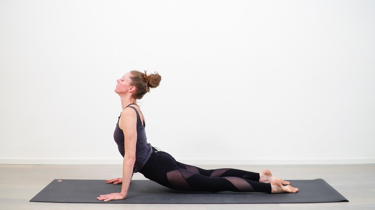 Zwei Klassiker Der ab-und aufschauende Hund