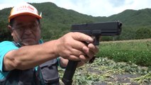 Japanese farmers use airguns against crop-raiding monkeys