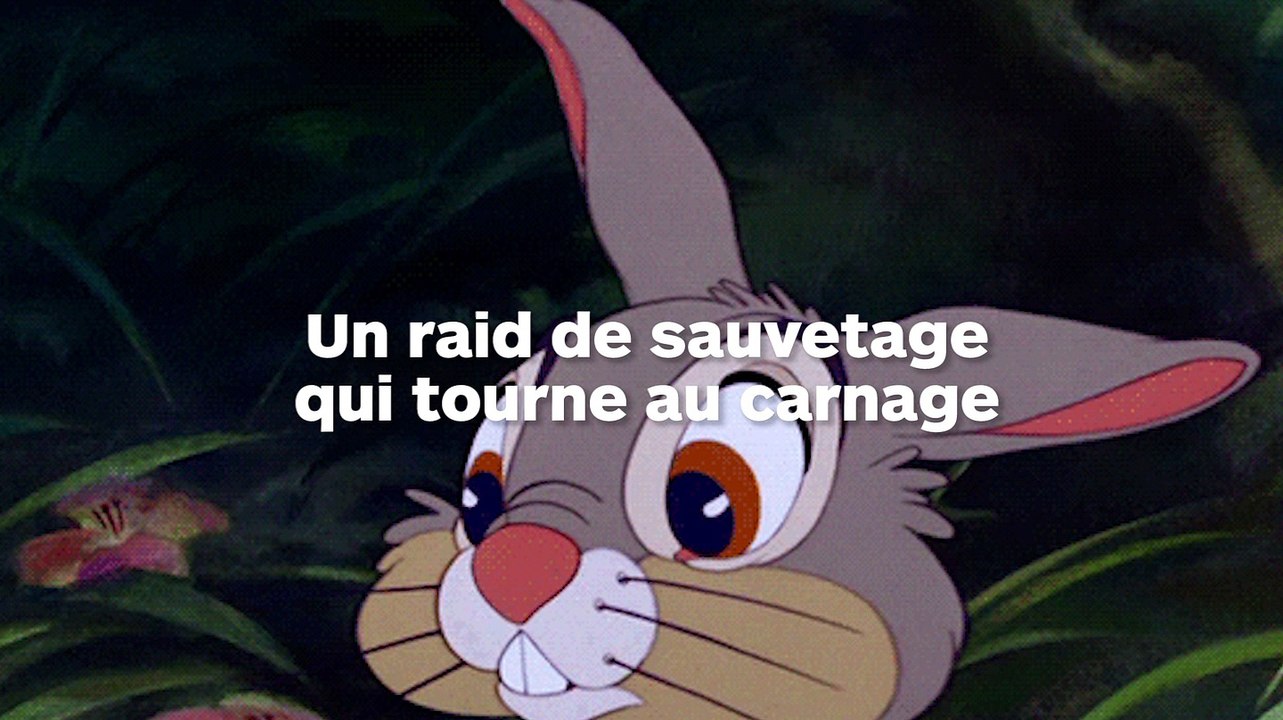 Une activiste vegan a sauvé 16 lapins dans un élevage mais son raid a causé la mort d’une centaine d’autres lapins !