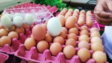 Bu Büyüklükte Yumurtayı Görenler Şaşırıyor