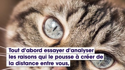 5 conseils pour rendre son chat plus câlin