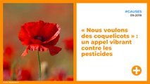 « Nous voulons des coquelicots » : un appel vibrant contre les pesticides