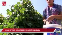 Çoban Zeynep, güreşte dünya şampiyonu