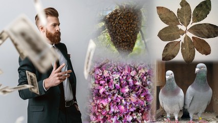 Do You Want To Become Rich? Remove These Things In Your Home Immediately || Boldsky Telugu