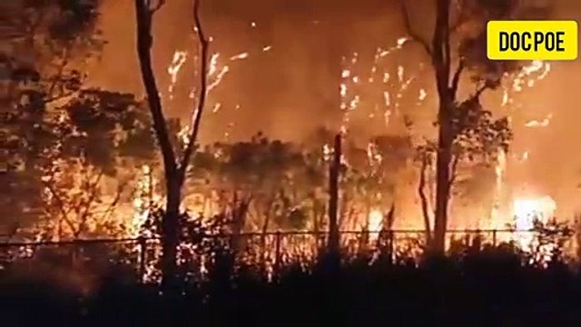 INCENDIO FORESTAL SE SALE CONTROL EN AUSTRALIA || YA SON MÁS DE 65 INCENDIOS REPORTADOS