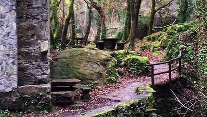 MUSICA RELAJANTE PARA ESTUDIAR || Música para Leer