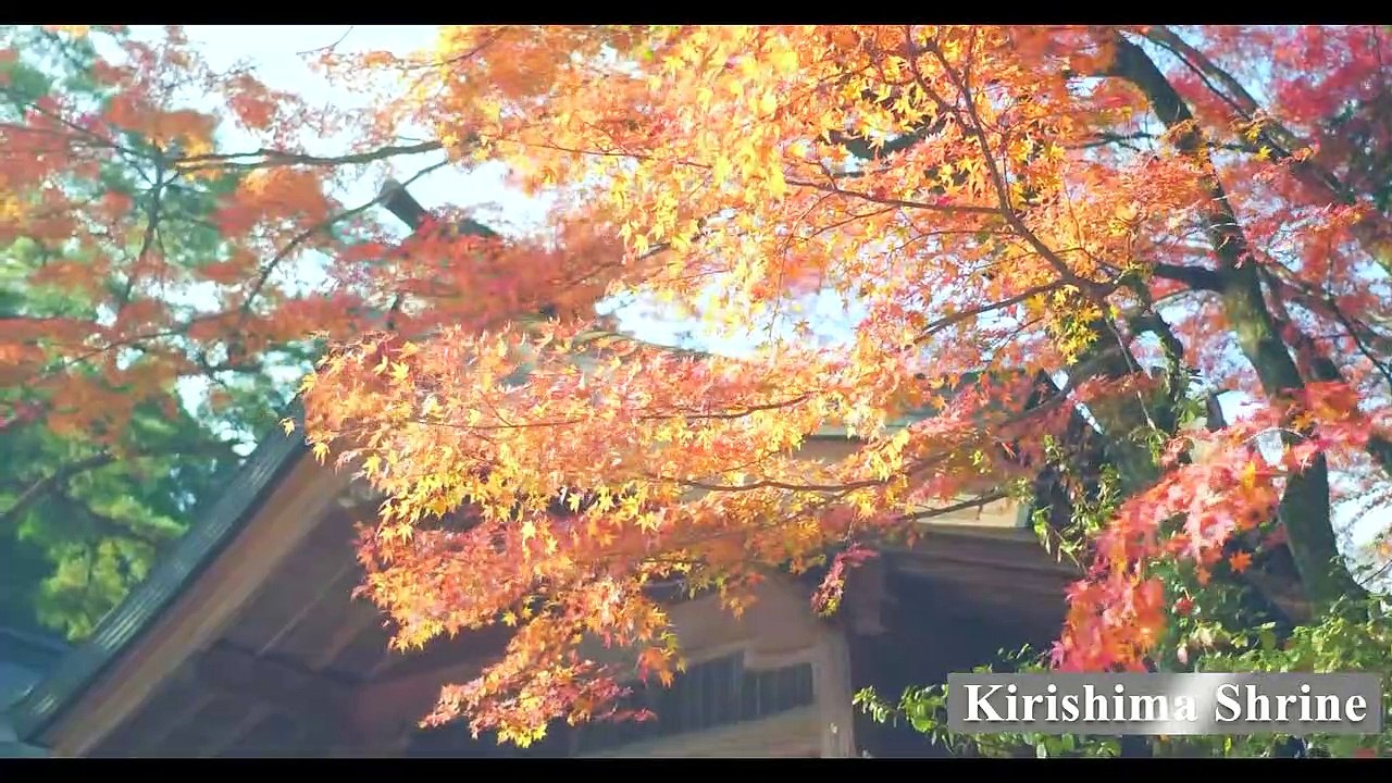 Kagoshima charter Sông Hàn Tourist