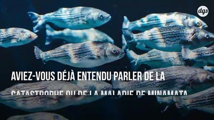 Les microplastiques propagent une toxine neurologique mortelle dans les poissons que nous mangeons