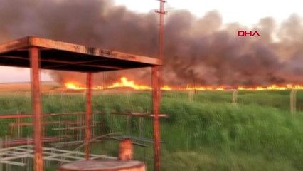 Mardin sınırda çıkan yangın, petrol kuyularına sıçramadan kontrol altına alındı