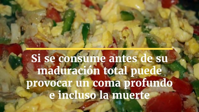 Los 10 alimentos más peligrosos del mundo