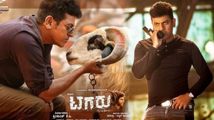 ಪಿ ಆರ್ ಕೆ ಆಡಿಯೋದಲ್ಲಿ ಅತಿ ವೀಕ್ಷಣೆ ಪಡೆದ ಹಾಡು 'ಟಗರು ಬಂತು ಟಗರು' | Oneindia Kannada