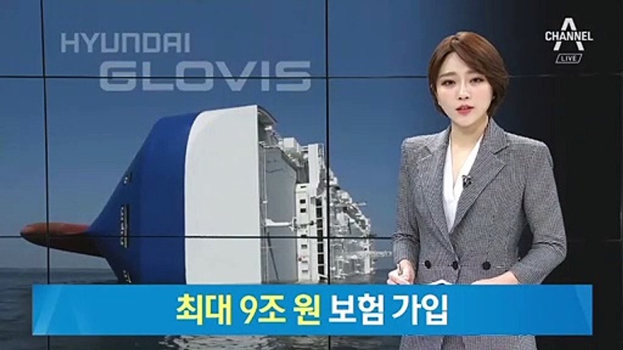 현대글로비스 최대 9조 원 보험 가입…차량 4천 대 전액 보험 처리
