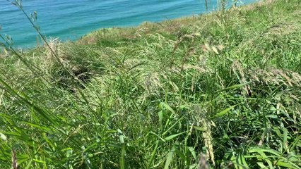 מסע נשי לאי הזמרגד - אירלנד עם ליאת ישי Joy Across The World