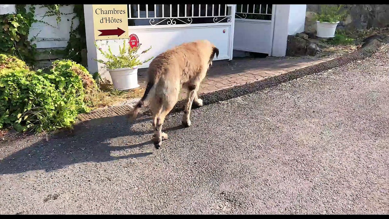 MR GWEN FIRST DAY MAN
