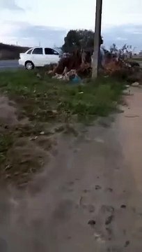 Motociclista morre em acidente na BR 101 em Aracruz