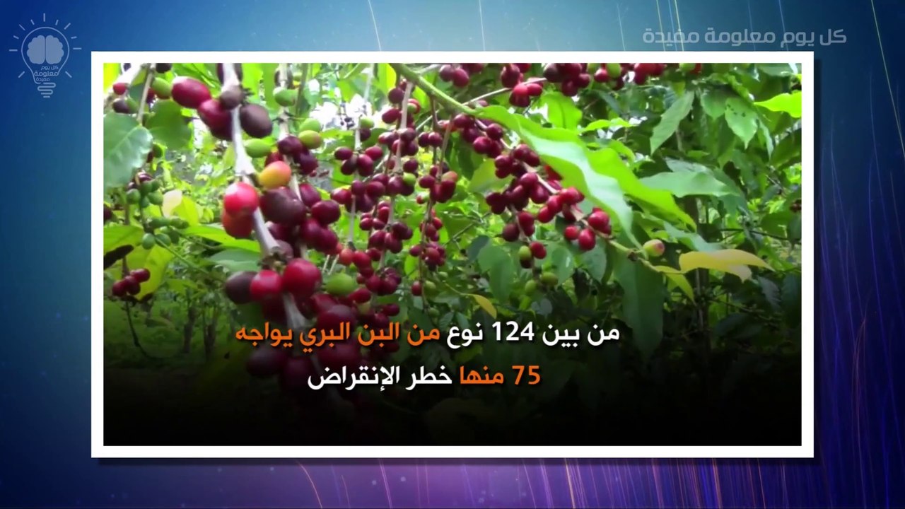 هل سيأتي يوم لا نجد فيه القهوة حقاً؟