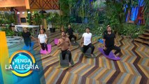 Libérate del estrés y llénate de energía positiva en nuestra sesión de yoga. | Venga La Alegría