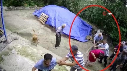 Kafasına kalasla vurulan kadın: "Pusu kurularak, öldürmek için vurdular"