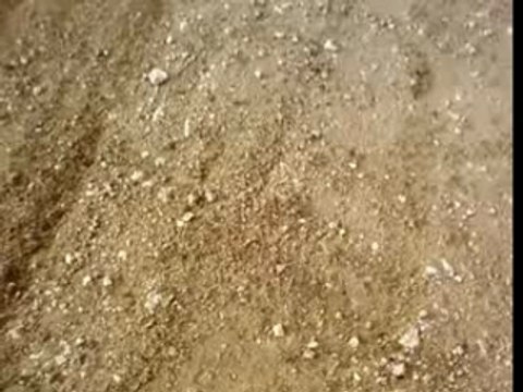 Moto cross 125 rm et 450