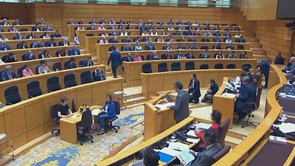 Javier Maroto acata la Constitución en en el Senado