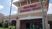 Welcome to West Boca Veterinary Center