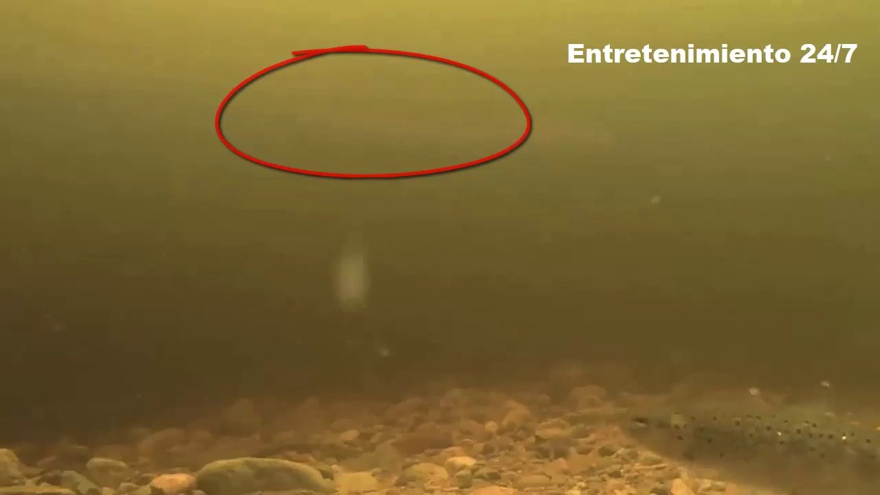 cámara submarina graba por primera vez el monstruo del lago Ness