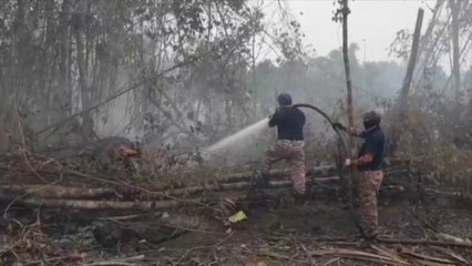 Malaisie: les images aériennes de fumées qui menacent la population et la forêt tropicale