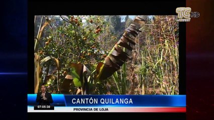 Se incrementa el incendio forestal en Quilanga, Loja