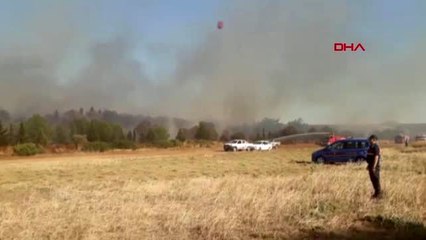 Ayvalık'ta hakkı bey yarımadası'nda yangın