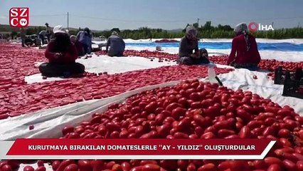 Kurutmaya bırakılan domateslerle "Ay-Yıldız" oluşturdular