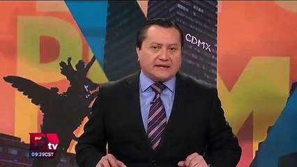 Avistamiento de seis vaquitas marinas en Golfo de California