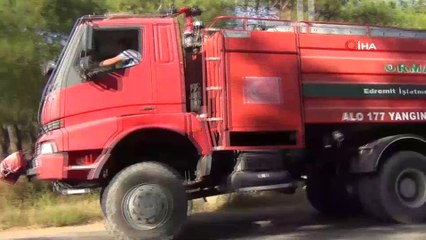 Ayvalık'ta orman yangını