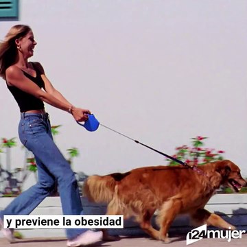 Tener un perro previene la aparición de enfermedades cardiovasculares