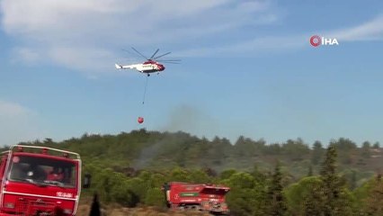 Ayvalık'ta orman yangını