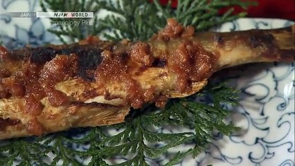 Japanology Plus - Fermented Foods