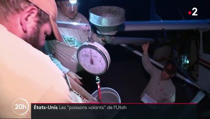 États-Unis : des poissons largués dans les airs pour repeupler les lacs