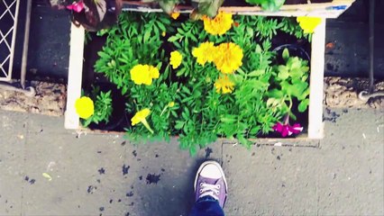 Introducing Instagram Video.