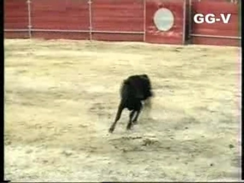 Feria de Algodonales 1992